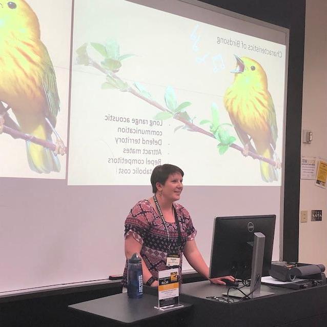 Abigail Hayes, Audiology & Speech-Language Sciences: "Accents Matter: Behavioral Responses to Local and Nonlocal Dialects in Four Colorado Wren Species"