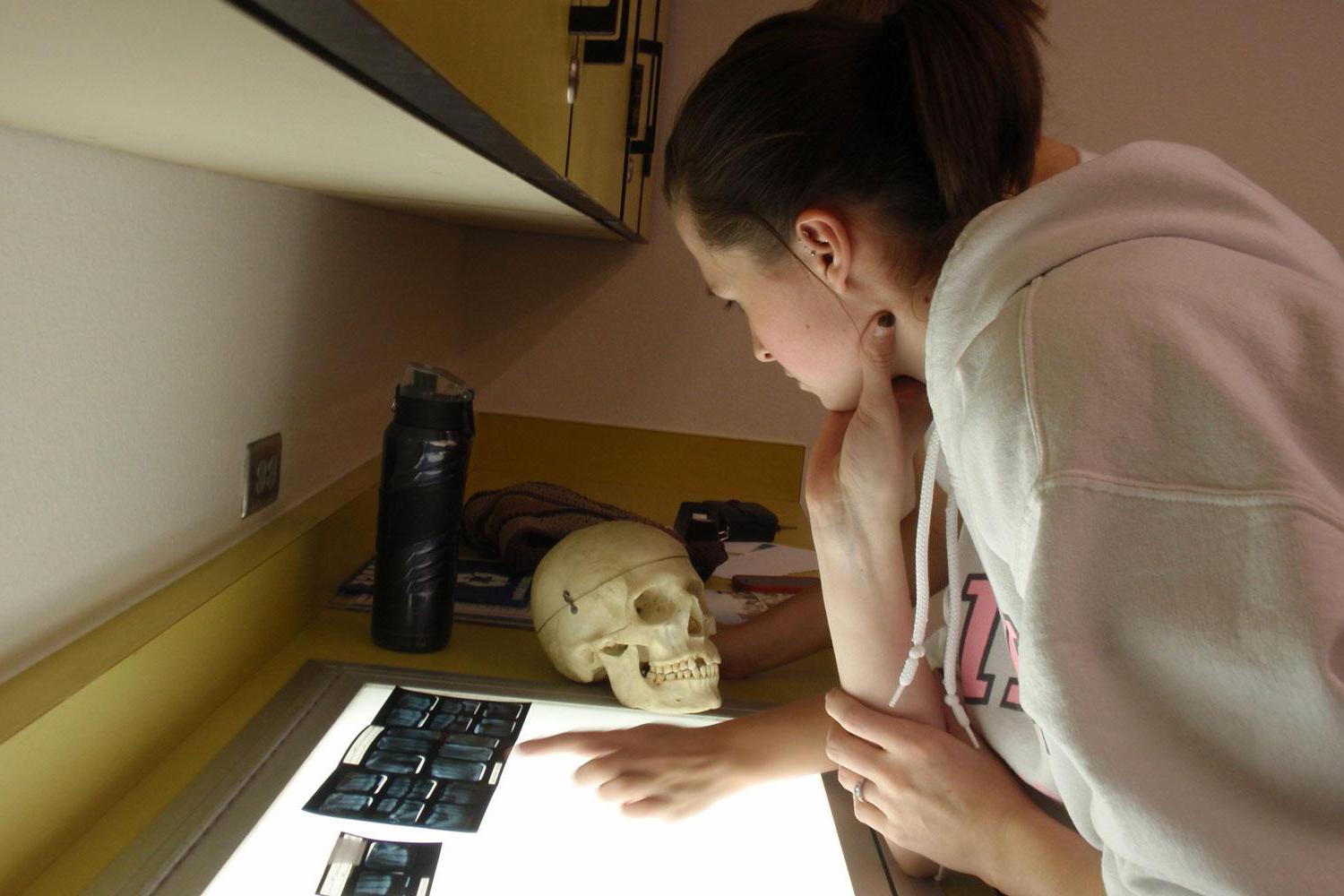 法医人类学 student Nicole Arizmendi identifies a human skeleton by matching it to it's dental records.